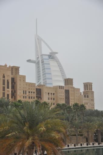 DSC_0029_small