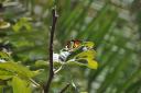 DSC_0284_small
