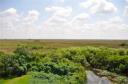 De Everglades