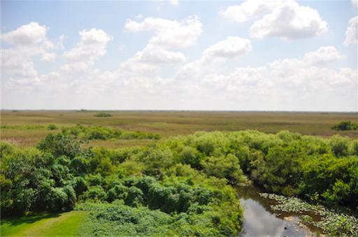 De Everglades