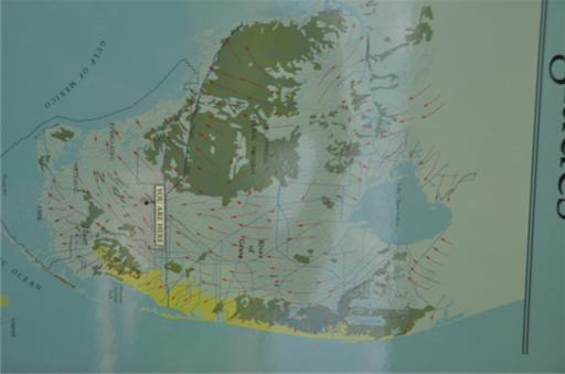 Overzicht Everglades