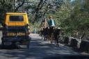 Weg naar Dehradun