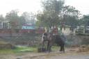 Naast de weg van Agra naar Delhi