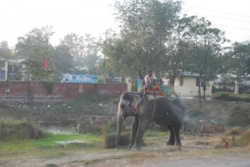 Naast de weg van Agra naar Delhi