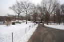 Central Park