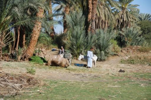 042 - Op weg naar El Kab