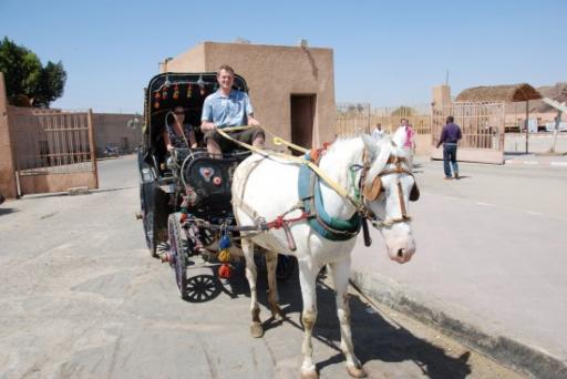 056 - Paard Edfu