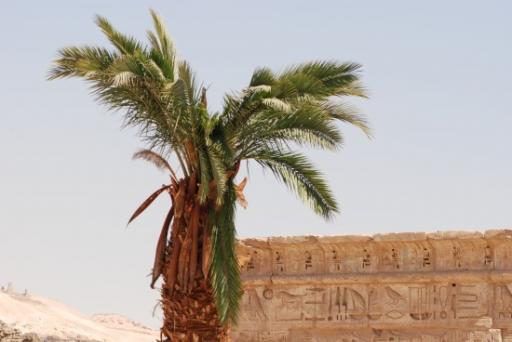 032 - Madina Temple
