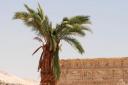 032 - Madina Temple