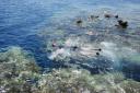 Blue Hole Dahab
