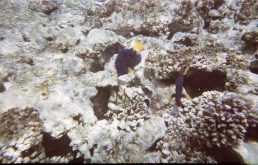 Blue Hole Dahab