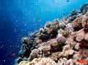 Blue Hole Dahab
