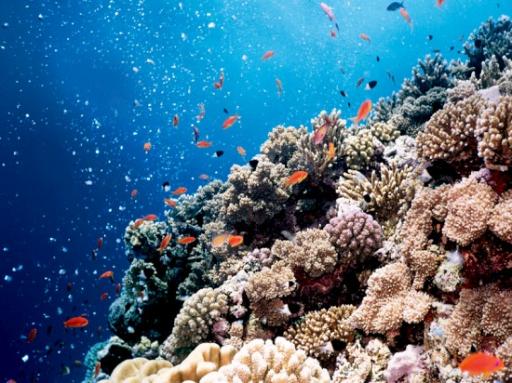 Blue Hole Dahab
