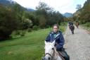 Kijk het paard