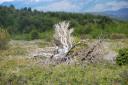 Nature as it is