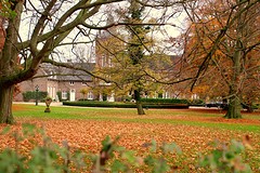 IMG_4174