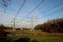 IMG_4454