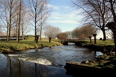 IMG_4460