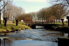 IMG_4461