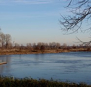 IMG_4462