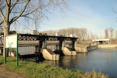 IMG_4465