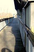 IMG_4467
