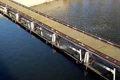 IMG_4470