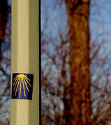 IMG_4473
