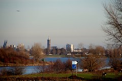 IMG_4479