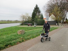 IMG_4556