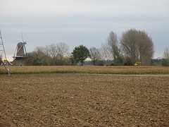 IMG_4559