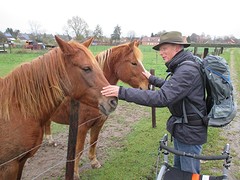 IMG_4651