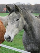 IMG_4656