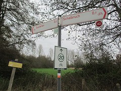 IMG_4687