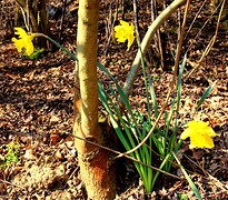 IMG_04688 (2)