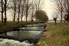IMG_04709