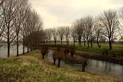 IMG_04714 (2)