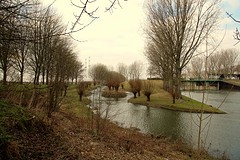 IMG_04716 (2)