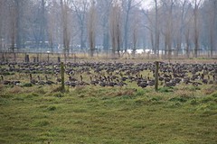 IMG_04735 (2)