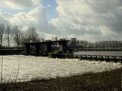 IMG_4735