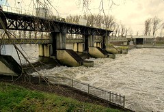IMG_4737