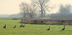 IMG_4808