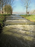 IMG_4814