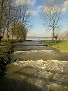 IMG_4815
