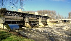 IMG_4816