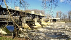 IMG_4817