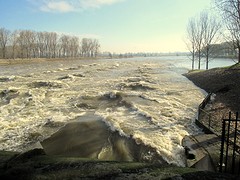 IMG_4818