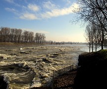 IMG_4820