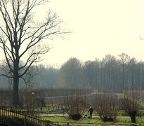 IMG_4821