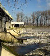 IMG_4822